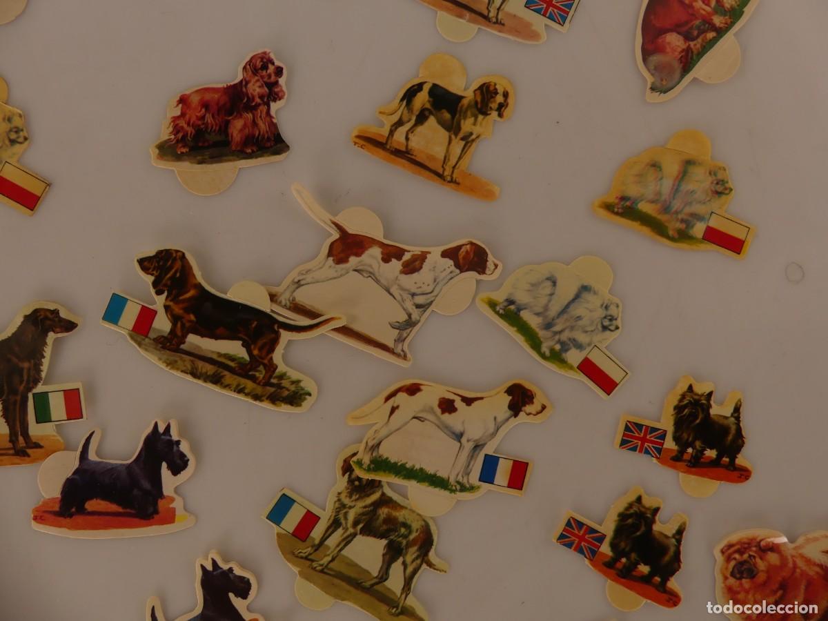 Coleccionismo cromos antiguos: LOTE DE CROMOS PERROS DE PANRICO - Foto 5