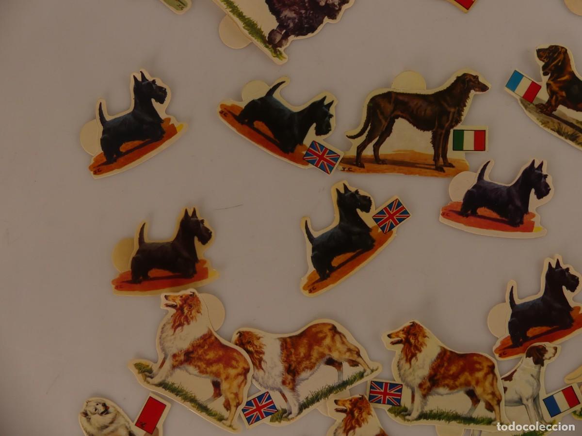 Coleccionismo cromos antiguos: LOTE DE CROMOS PERROS DE PANRICO - Foto 6