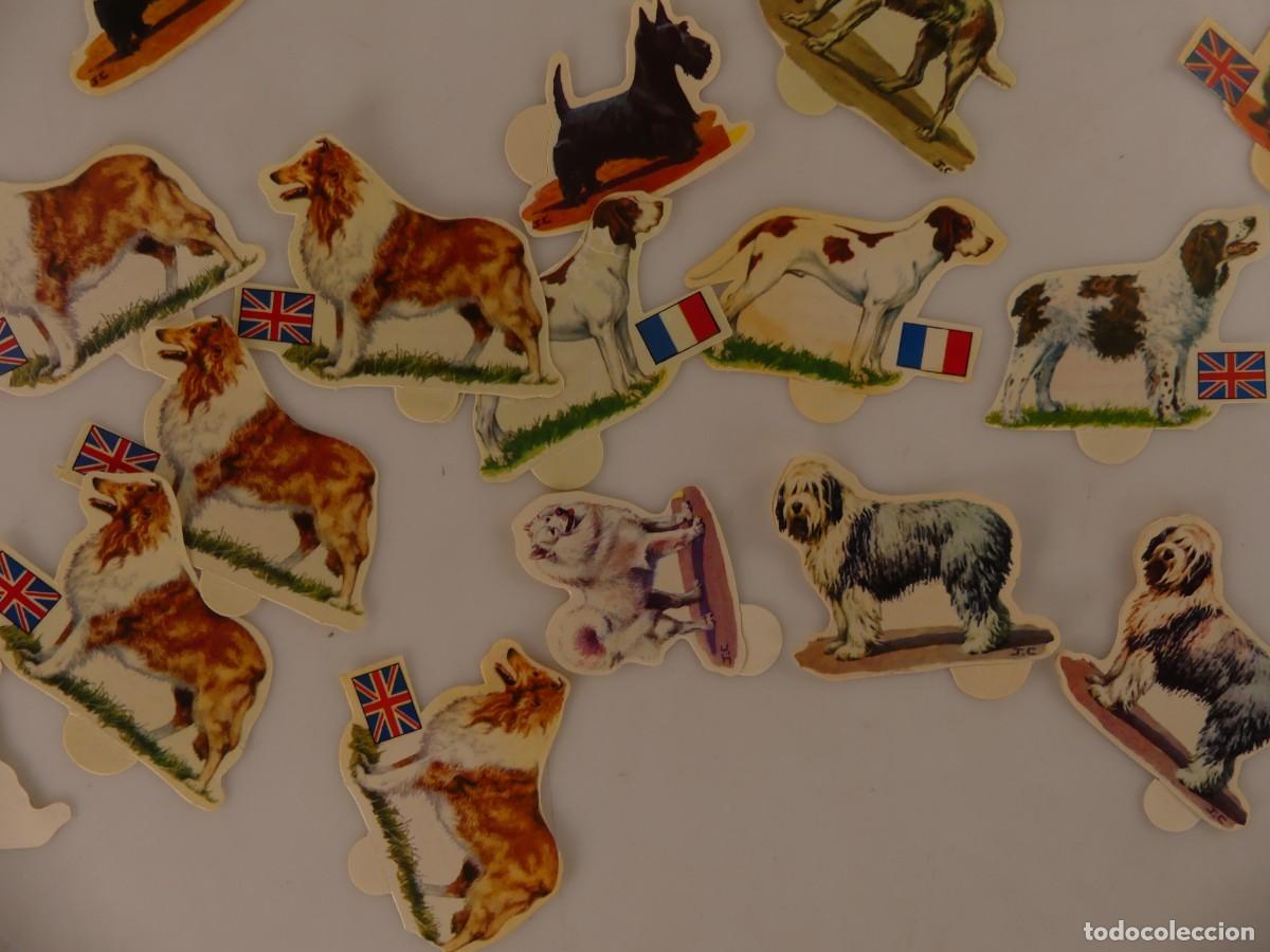 Coleccionismo cromos antiguos: LOTE DE CROMOS PERROS DE PANRICO - Foto 8