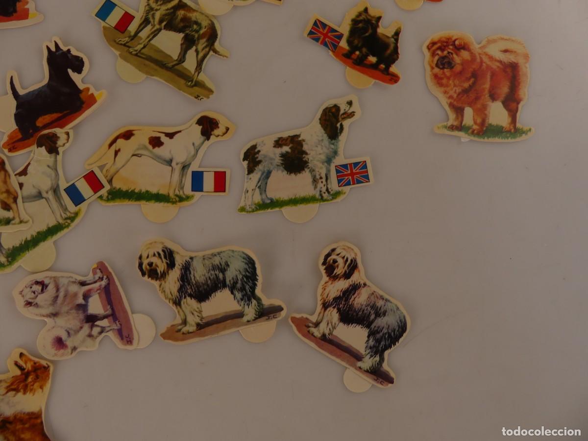 Coleccionismo cromos antiguos: LOTE DE CROMOS PERROS DE PANRICO - Foto 9