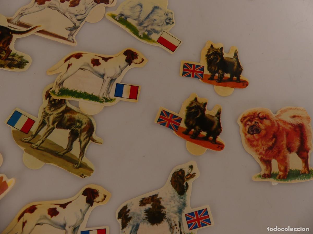 Coleccionismo cromos antiguos: LOTE DE CROMOS PERROS DE PANRICO - Foto 10