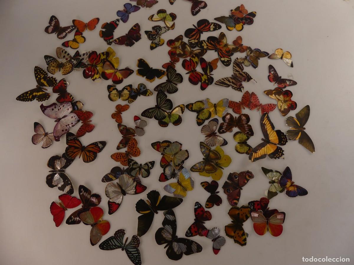 Collectable Antique Stickers: COLECCION LOTE DE CROMOS MARIPOSAS DE PANRICO