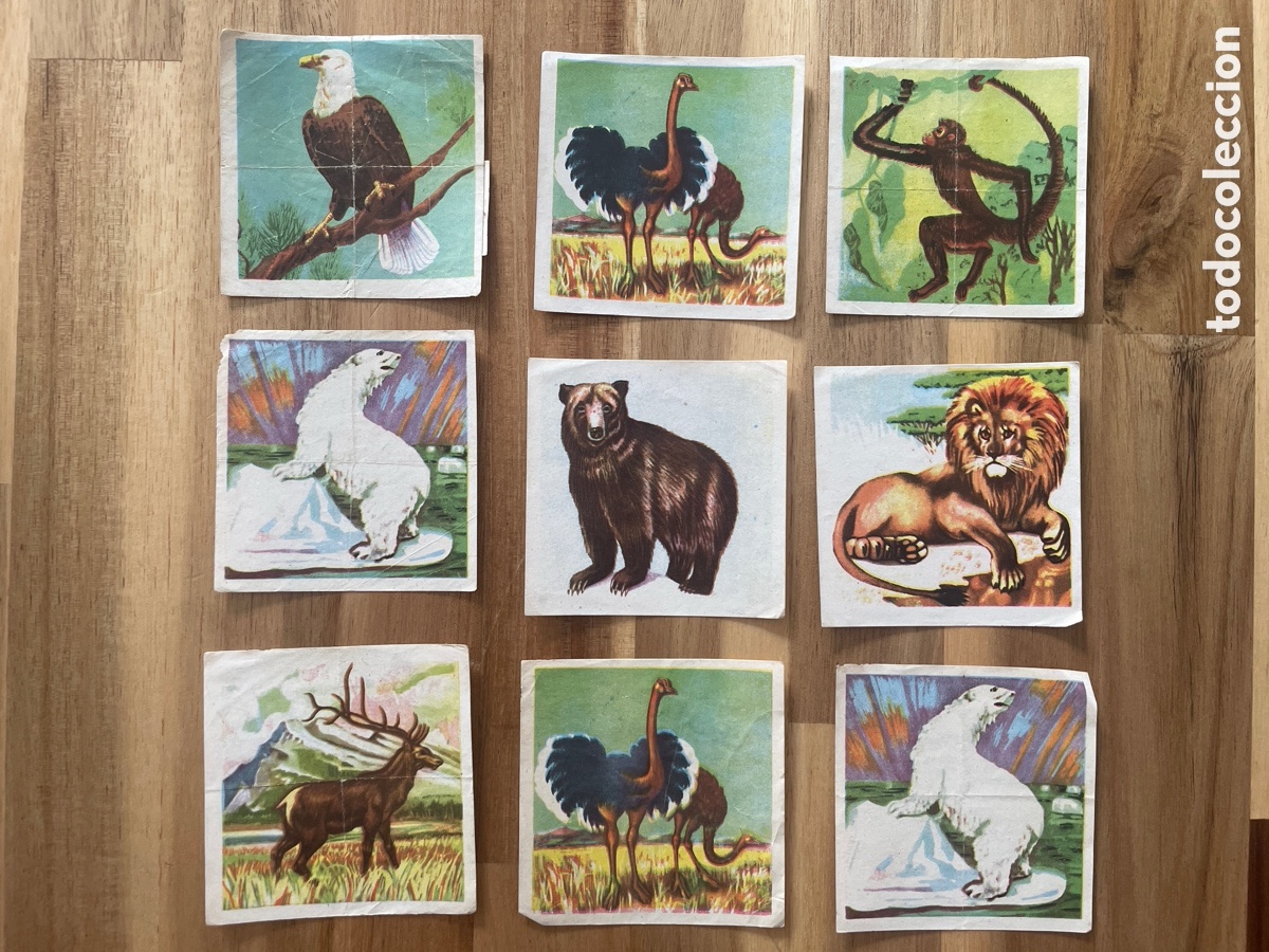 Coleccionismo cromos antiguos: 9 cromos de la colecci&oacute;n de Chocolates Surroca. Zoolog&iacute;a.