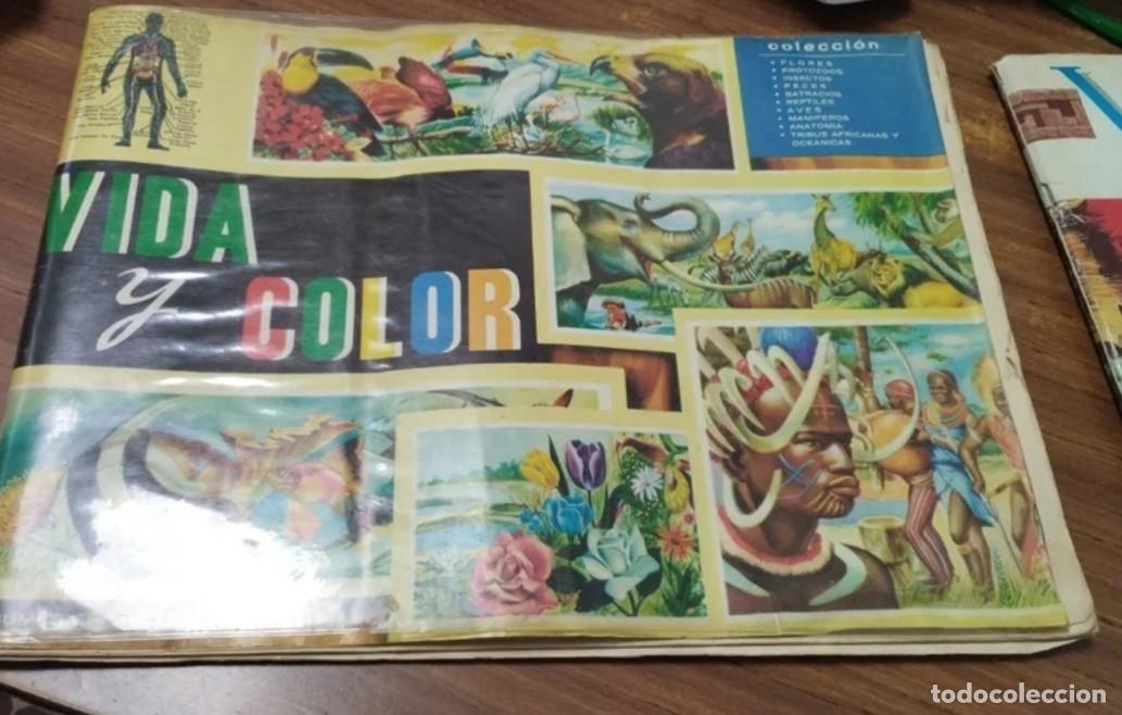 Coleccionismo cromos antiguos: Album Vida y Color completo