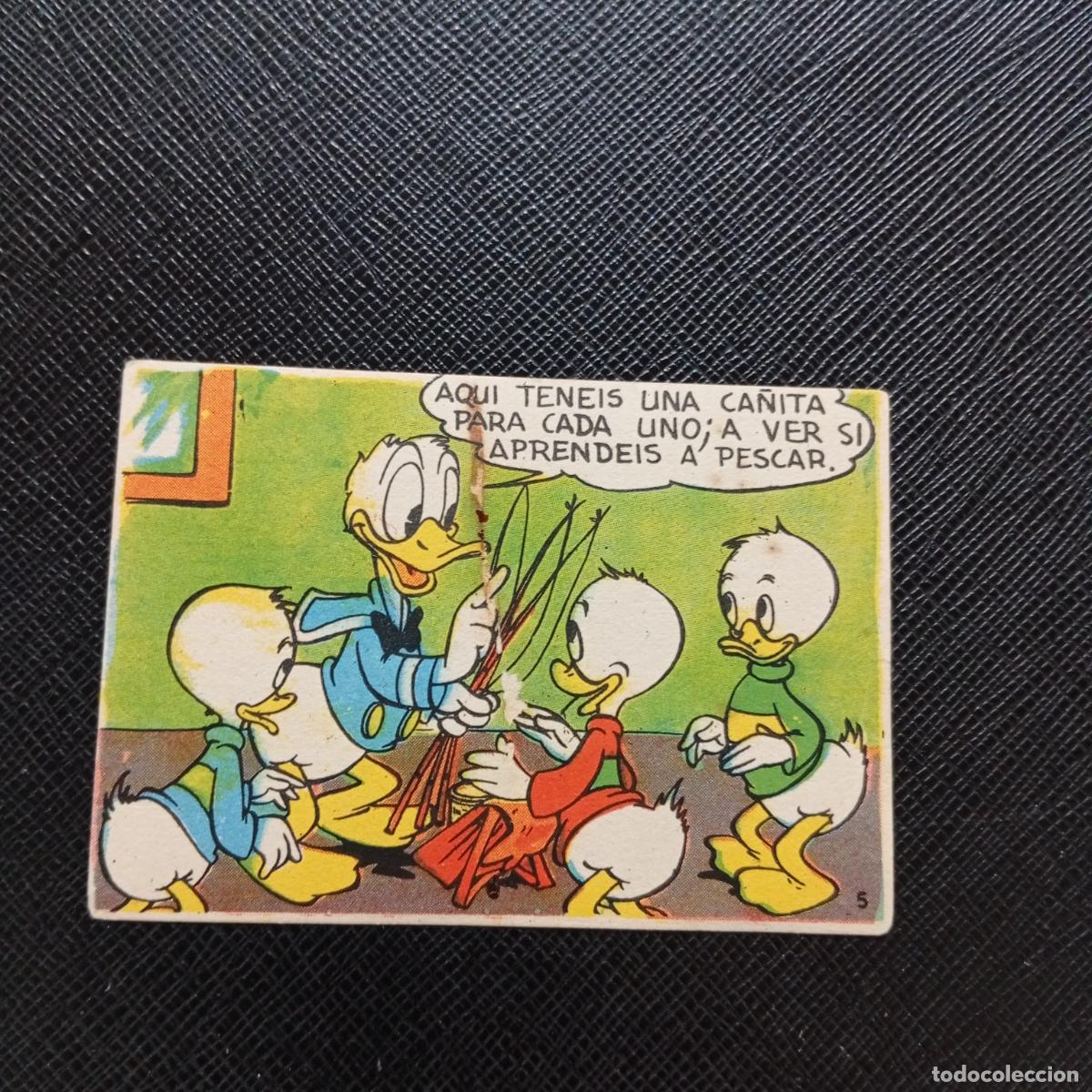 Coleccionismo cromos antiguos: 5 PESCA DE TRUCHAS CHOCOLATES LLOVERAS DISNEY 1948 CROMO - SIN PEGAR - A214 PG1 B