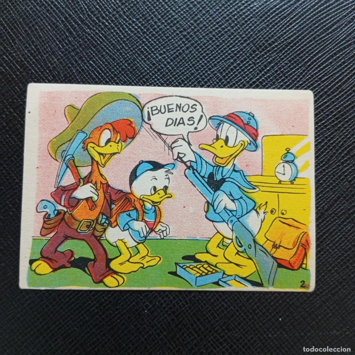 Coleccionismo cromos antiguos: 2 EL PATO DONALD VA DE CAZA CHOCOLATES LLOVERAS DISNEY 1948 CROMO - SIN PEGAR - A214 PG127
