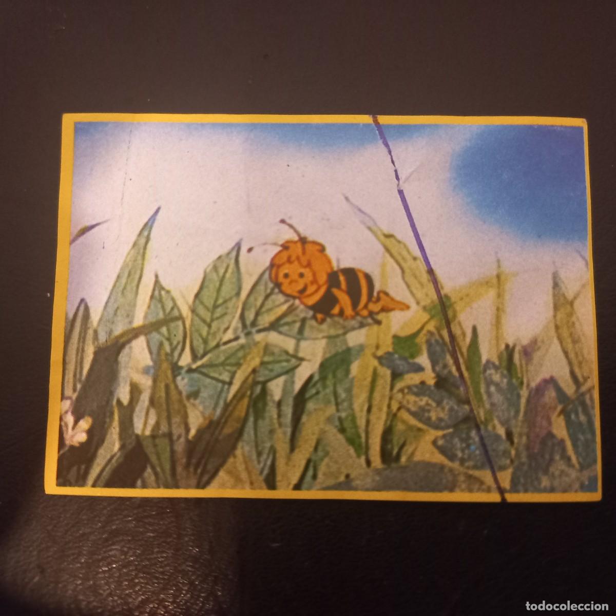 Coleccionismo cromos antiguos: Cromo recuperado ABEJA MAYA n&uacute;mero 6
