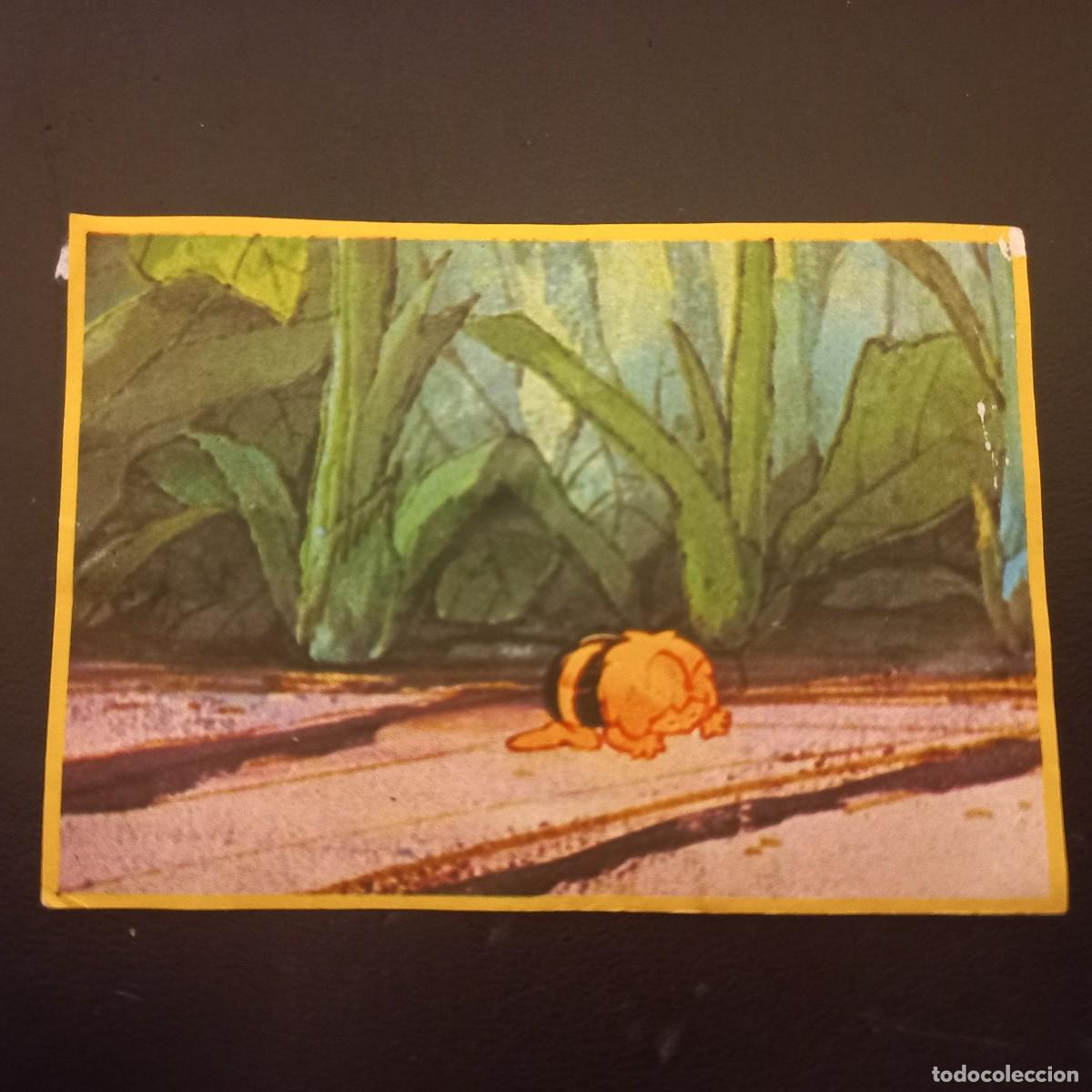 Coleccionismo cromos antiguos: Cromo recuperado ABEJA MAYA n&uacute;mero 11