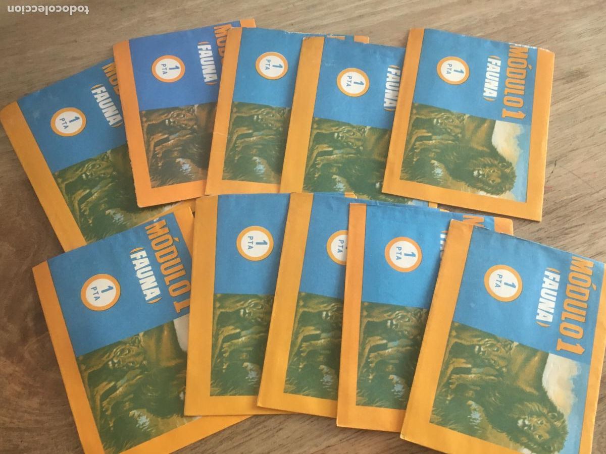 Collectable Antique Stickers: fauna modulo 1 lote 10 sobres de cromos sin abrir