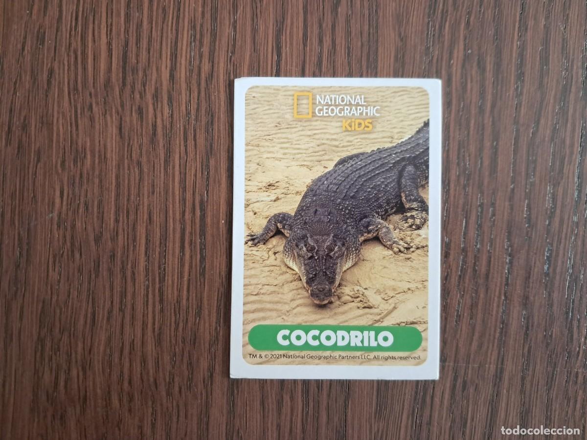 Coleccionismo cromos antiguos: Wildlife explorer national geographic kids alcampo cromo cocodrilo