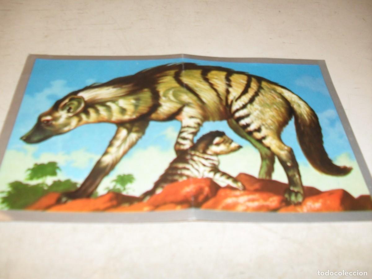 Coleccionismo cromos antiguos: (REF.91),CROMO DOBLE N&ordm; 215 LA HIENA,.DEL ALBUM MAGA ANIMALES Y MINERALES,MAGA,1970