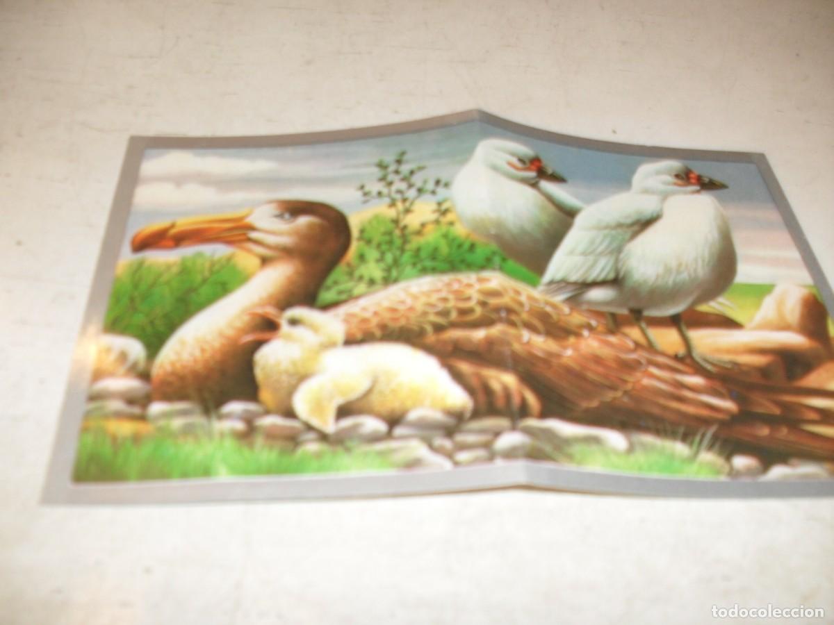 Coleccionismo cromos antiguos: (REF.91),CROMO DOBLE N&ordm; 94,CHIONIS ALBA,.DEL ALBUM MAGA ANIMALES Y MINERALES,MAGA,1970