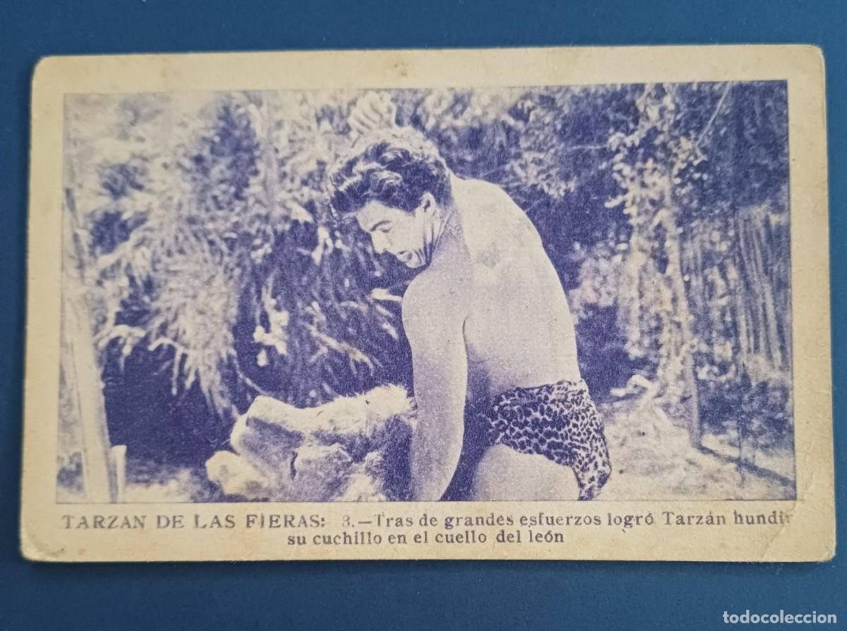 Coleccionismo cromos antiguos: CROMO TARZAN DE LAS FIERAS, BUSTER CRABBE Y JACQUELINE WELLS, SIN PUBLICIDAD