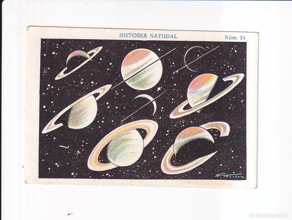 Sammeln alte Sammelbilder: HISTORIA NATURAL : NUMERO 31 .- CHOCOLATE JUNCOSA