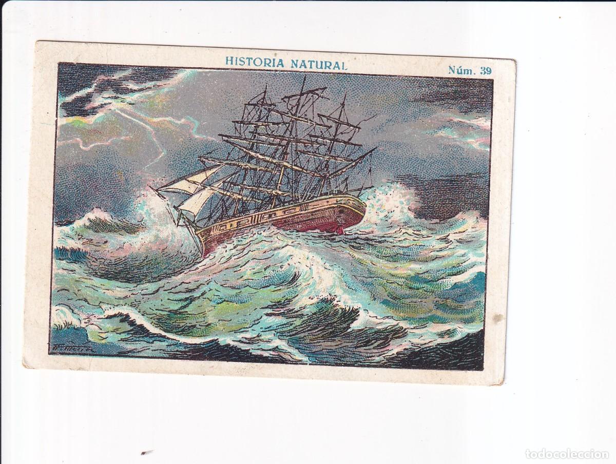 Sammeln alte Sammelbilder: HISTORIA NATURAL : NUMERO 39 .- CHOCOLATE JUNCOSA