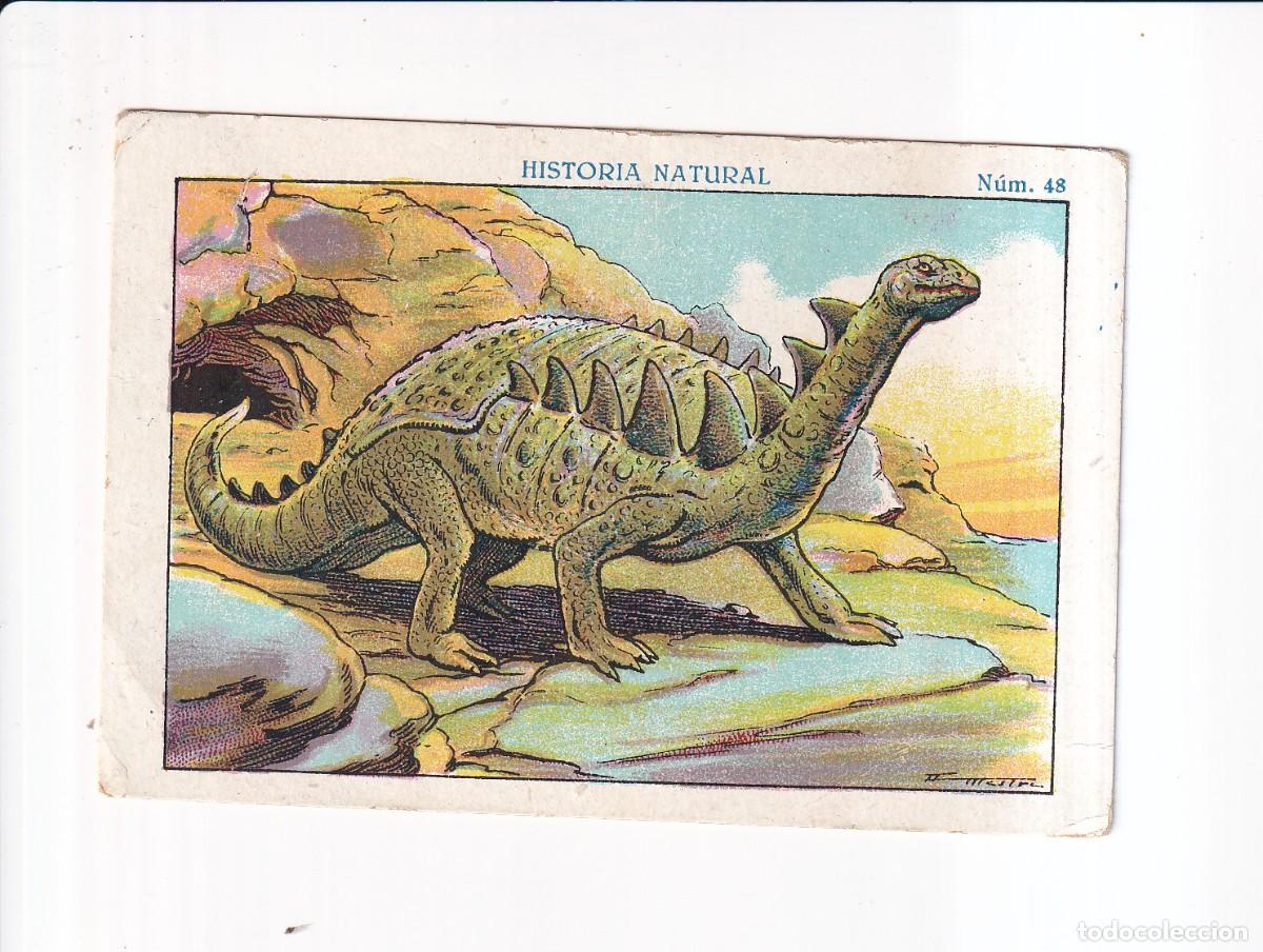 Sammeln alte Sammelbilder: HISTORIA NATURAL : NUMERO 48 .- CHOCOLATE JUNCOSA