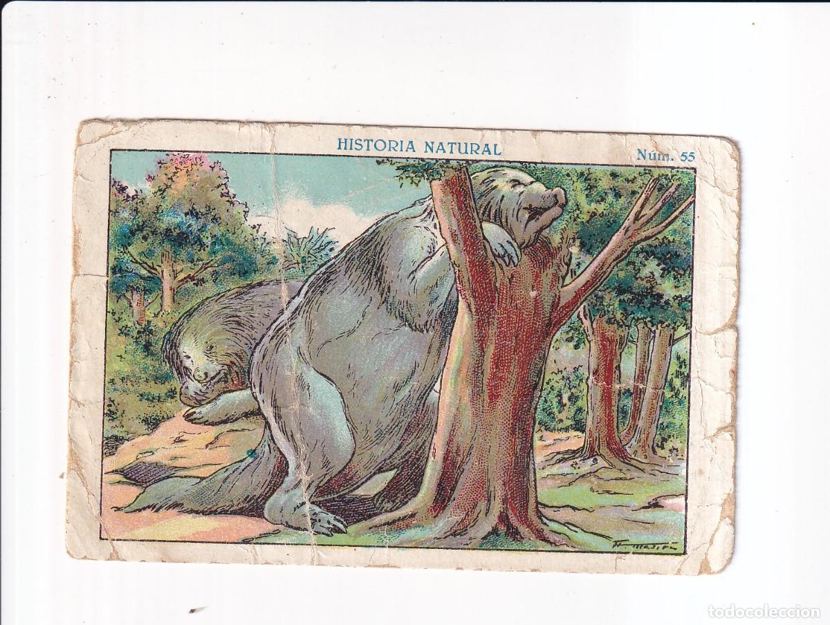 Coleccionismo cromos antiguos: HISTORIA NATURAL : NUMERO 55 .- CHOCOLATE JUNCOSA