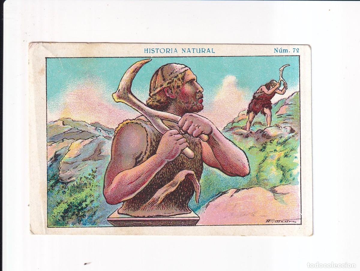 Coleccionismo cromos antiguos: HISTORIA NATURAL : NUMERO 72 .- CHOCOLATE JUNCOSA