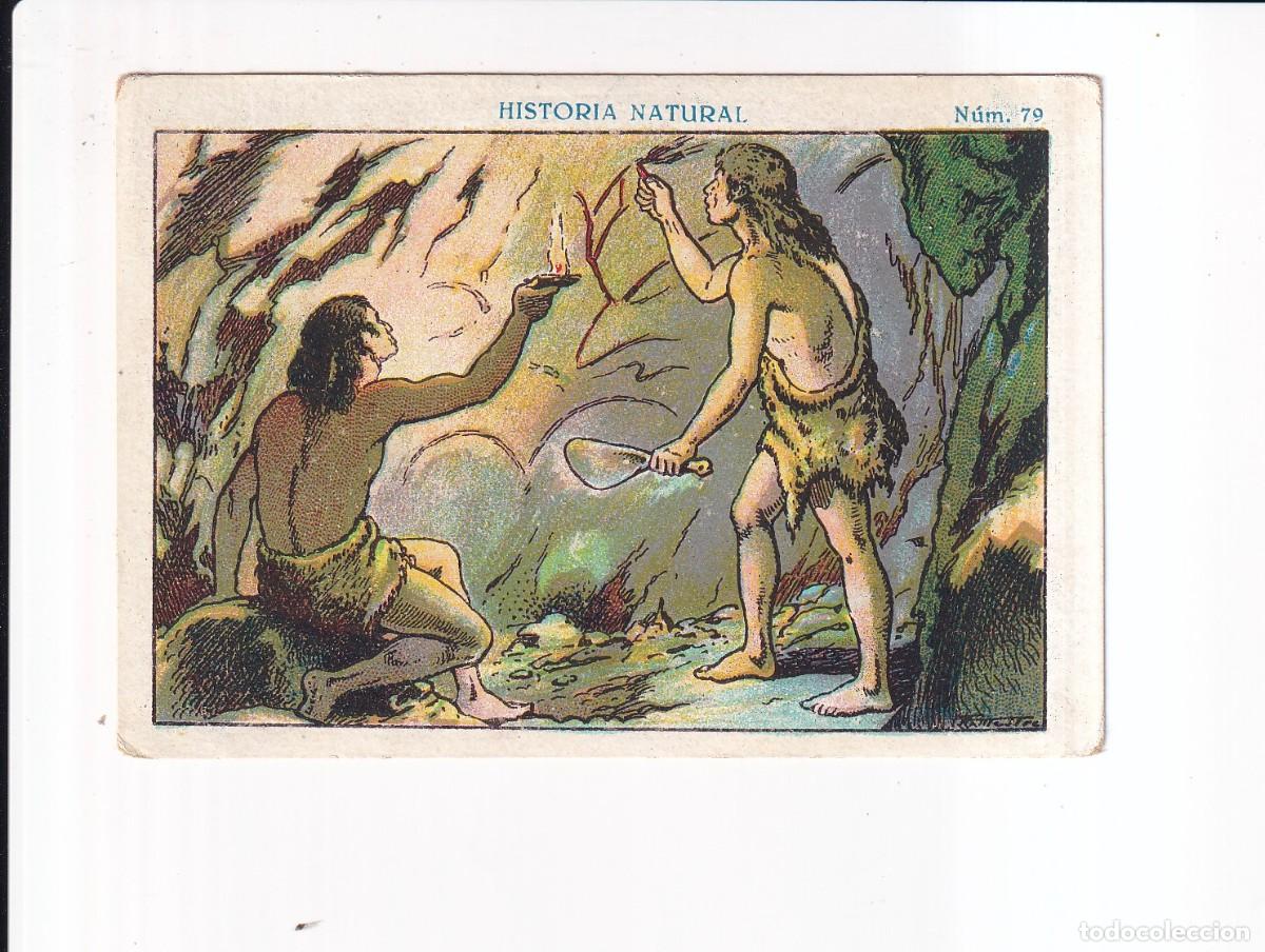 Coleccionismo cromos antiguos: HISTORIA NATURAL : NUMERO 79 .- CHOCOLATE JUNCOSA