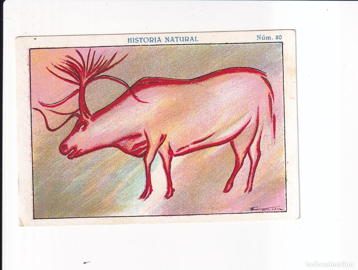 Coleccionismo cromos antiguos: HISTORIA NATURAL : NUMERO 80 .- CHOCOLATE JUNCOSA