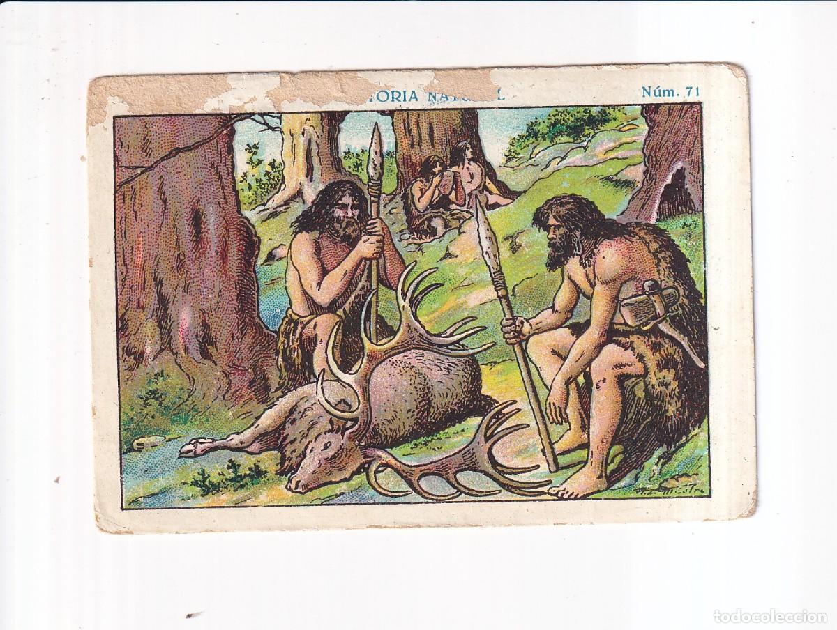 Coleccionismo cromos antiguos: HISTORIA NATURAL : NUMERO 71 .- CHOCOLATE JUNCOSA