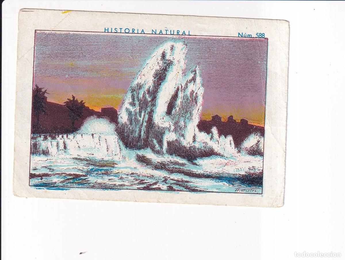 Sammeln alte Sammelbilder: HISTORIA NATURAL : NUMERO 588 .- CHOCOLATE JUNCOSA