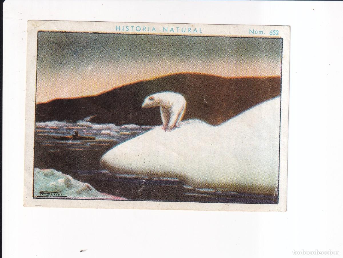 Sammeln alte Sammelbilder: HISTORIA NATURAL : NUMERO 652 .- CHOCOLATE JUNCOSA