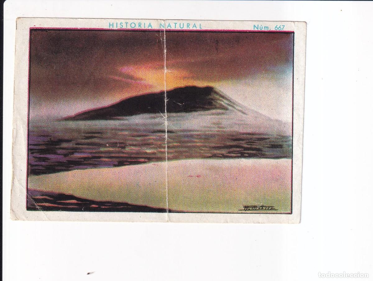 Sammeln alte Sammelbilder: HISTORIA NATURAL : NUMERO 667 .- CHOCOLATE JUNCOSA