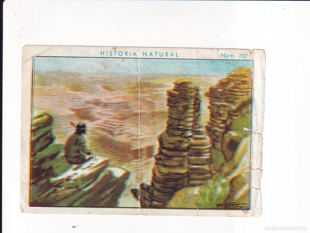 Collectable Antique Stickers: HISTORIA NATURAL : NUMERO 707 .- CHOCOLATE JUNCOSA