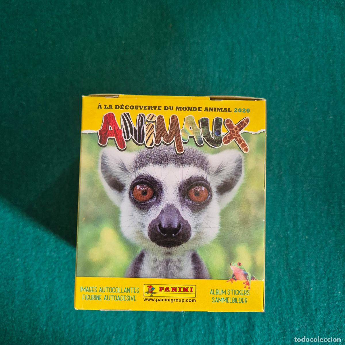 Coleccionismo cromos antiguos: Caja 50 sobres. Cromos Stickers. Animales 2020. Panini