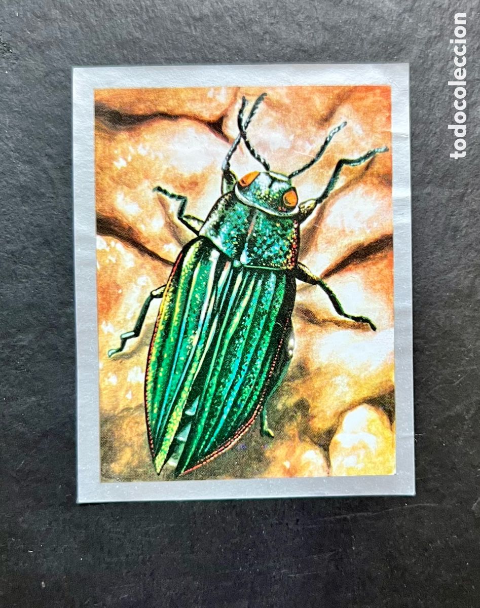 Collectable Antique Stickers: ANIMALES Y MINERALES. ED. MAGA 1970. CROMO N&ordm; 121