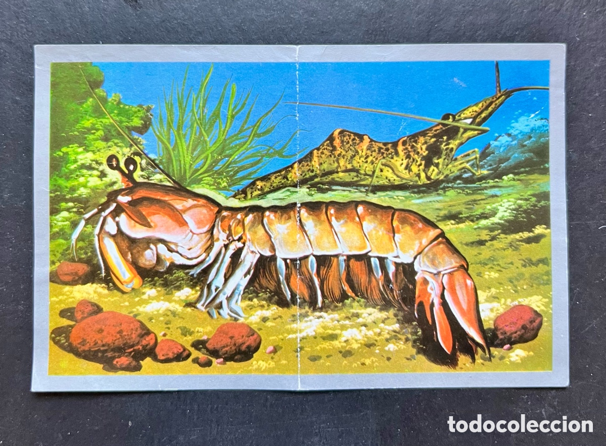 Collectable Antique Stickers: ANIMALES Y MINERALES. ED. MAGA 1970. CROMO N&ordm; 23