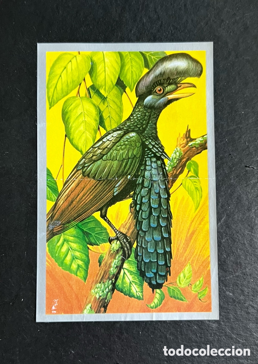 Collectable Antique Stickers: ANIMALES Y MINERALES. ED. MAGA 1970. CROMO N&ordm; 81
