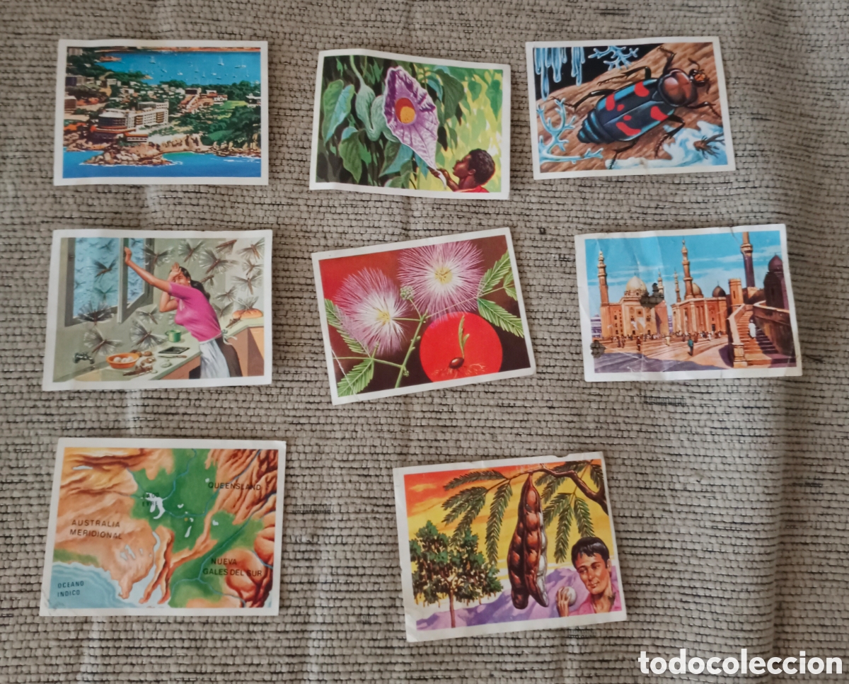 Coleccionismo cromos antiguos: 8 Cromos Ediciones Ruiz Romero a&ntilde;o 1975