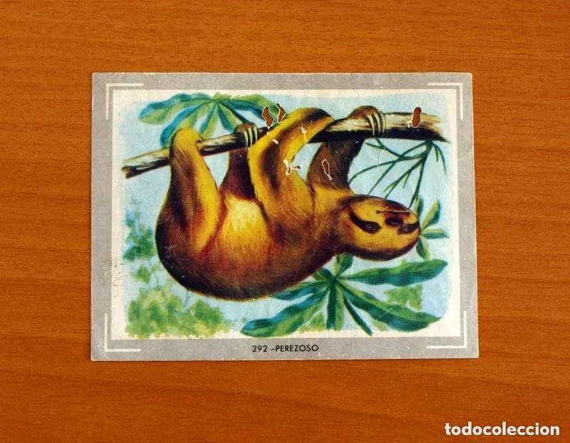 Coleccionismo cromos antiguos: Cromo n.292 vida y color (1) 1965 - sin pegar
