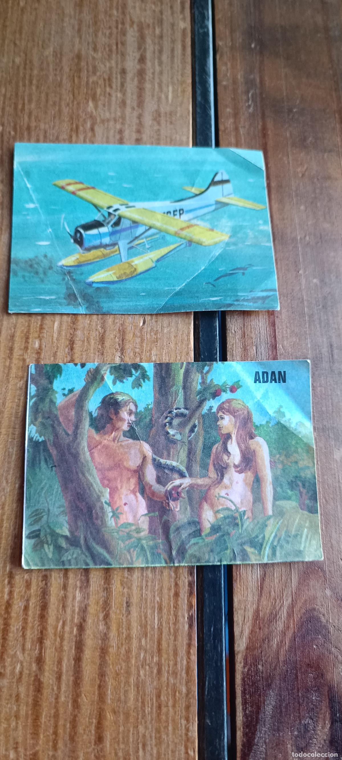 Coleccionismo cromos antiguos: 2 CROMOS BIMBO EL LIBRO DE LAS ADIVINAZAS - 251 Y 10
