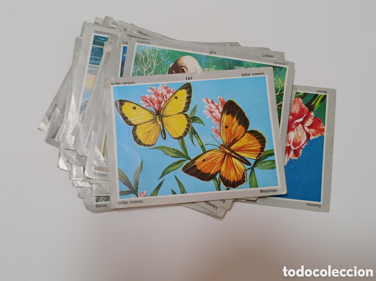 Collectable Antique Stickers: LOTE 69 CROMOS ALBUM VIDA Y COLOR 3 DE ALES 1970