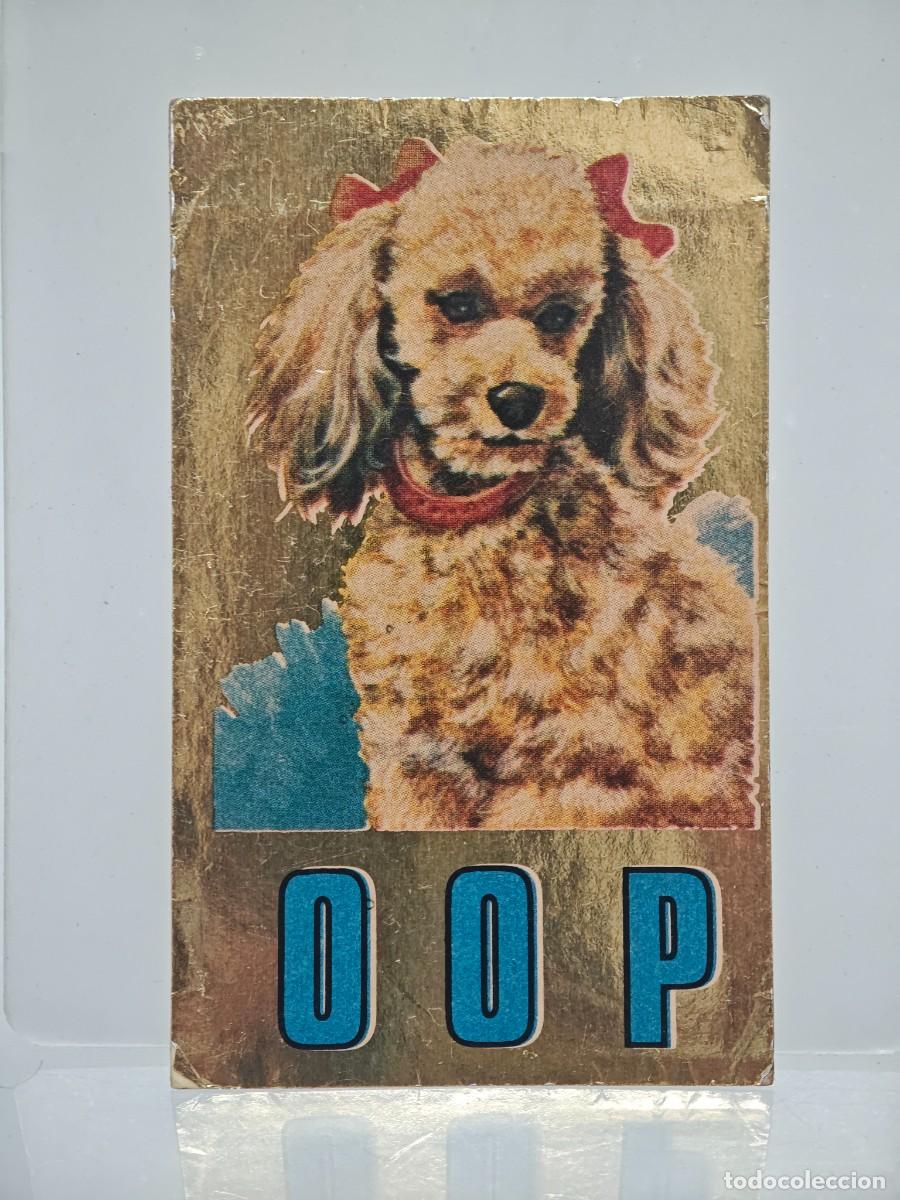 Coleccionismo cromos antiguos: CROMO PEGATINA TRAJES TIPICOS MAGA BRILLANTE 255