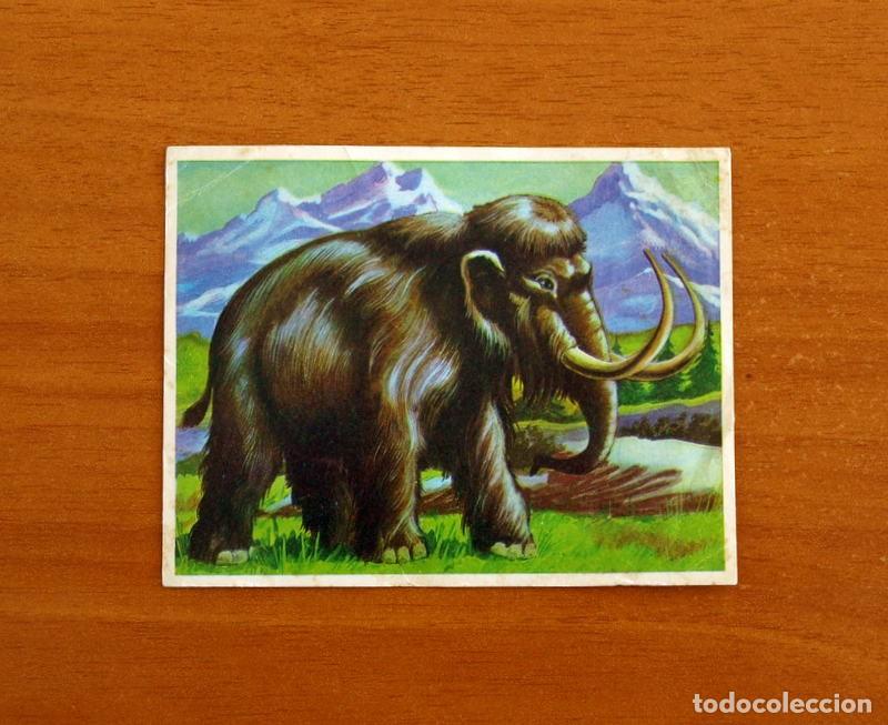 Coleccionismo cromos antiguos: Cromhistoria - Cromo N&ordm; 35 Mamut - Editorial Maga A&ntilde;o 1967 - Nunca Pegado
