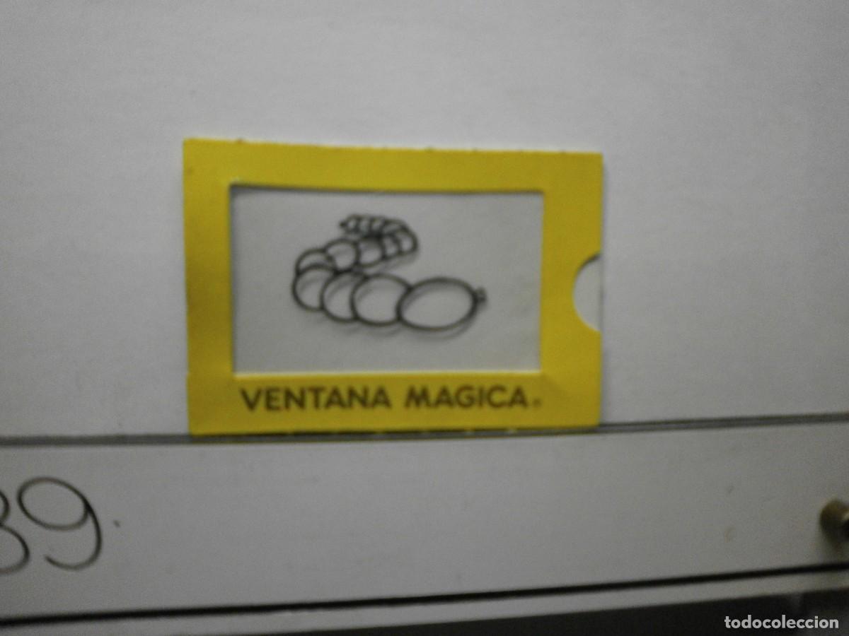 Coleccionismo cromos antiguos: cromo bollycao ventana magica