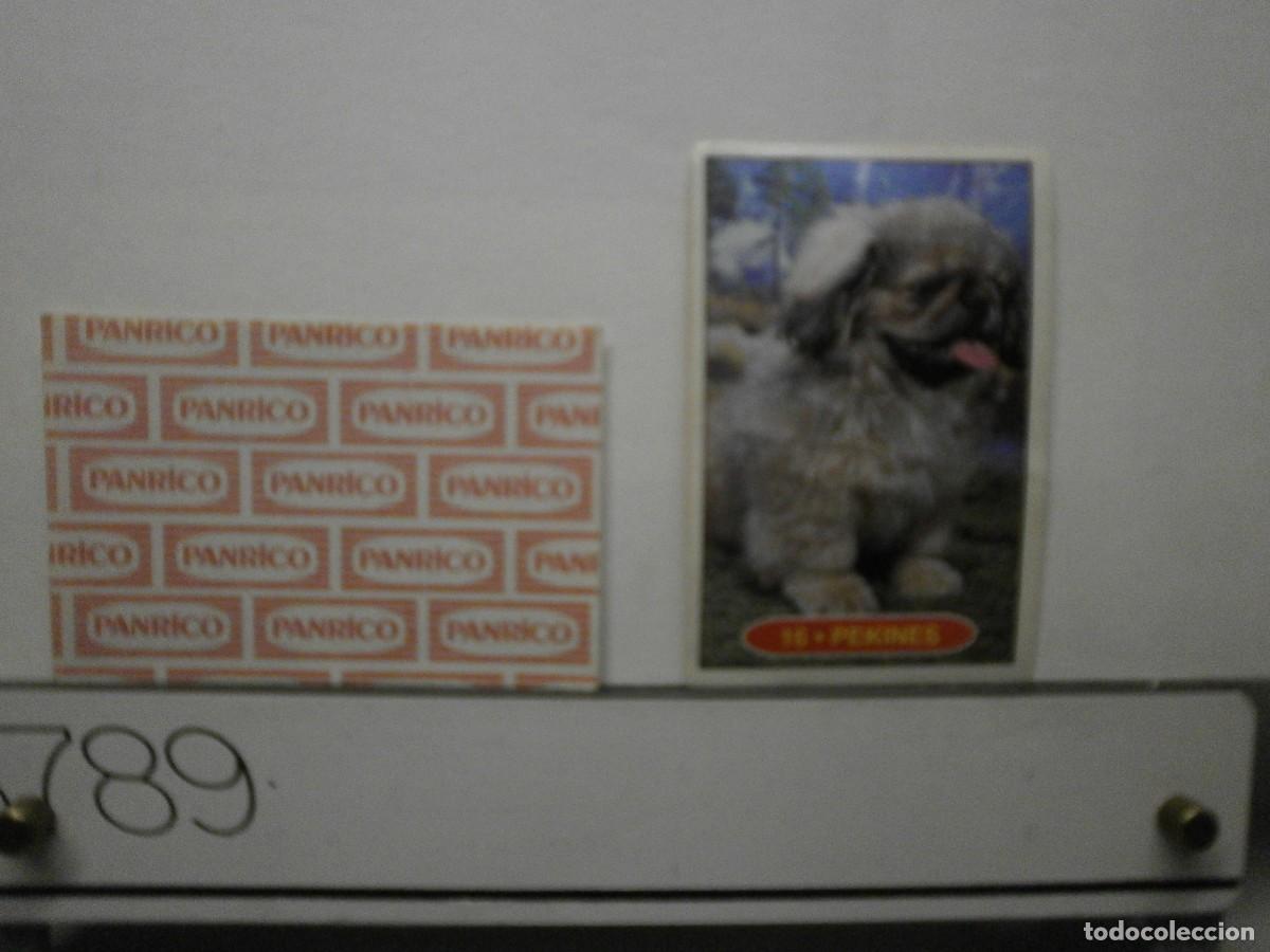 Coleccionismo cromos antiguos: cromo panrico perros cachorros