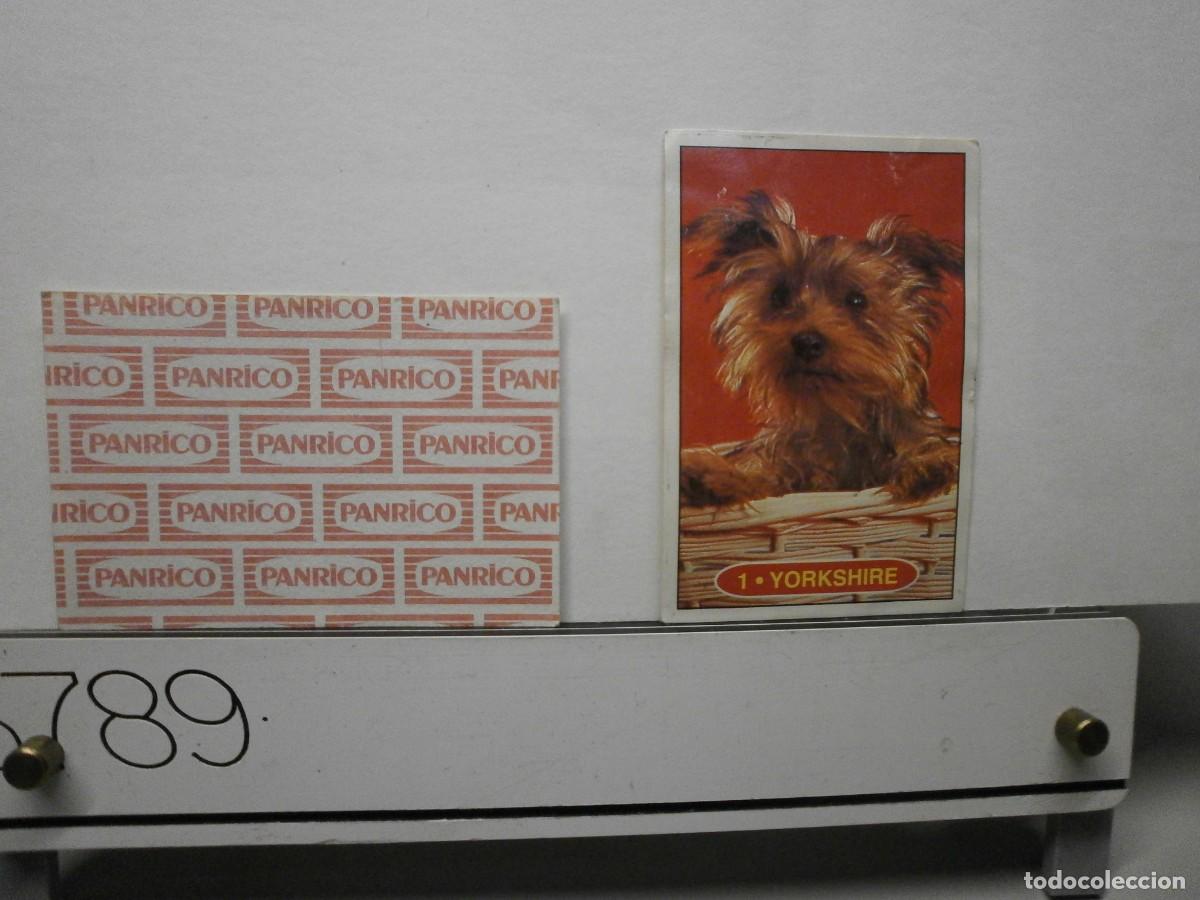 Colecionismo Cromos antigos: cromo panrico perros cachorros