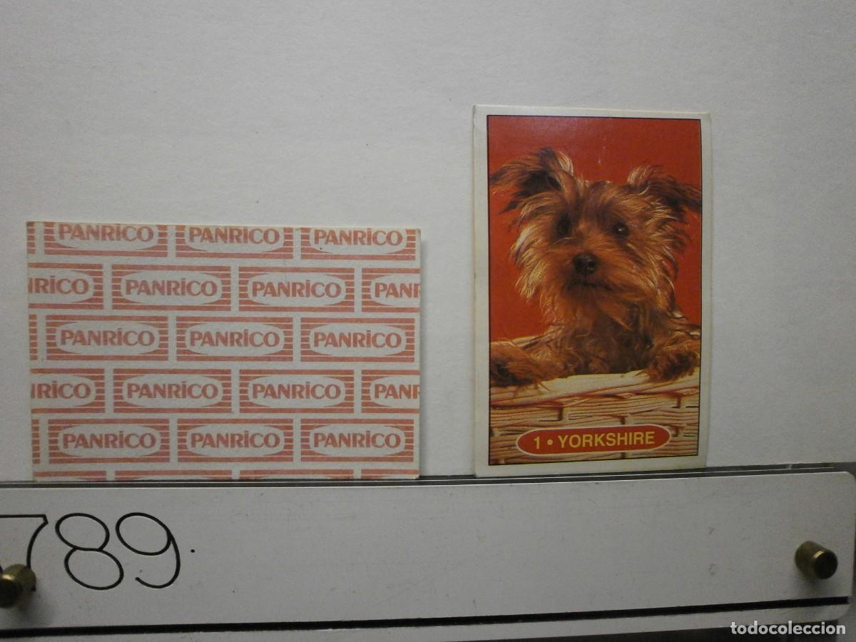 Coleccionismo cromos antiguos: cromo panrico perros cachorros