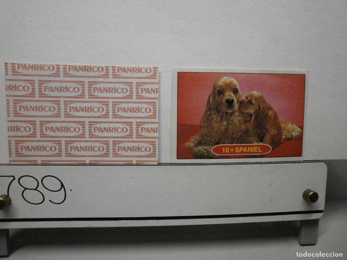 Coleccionismo cromos antiguos: cromo panrico perros cachorros