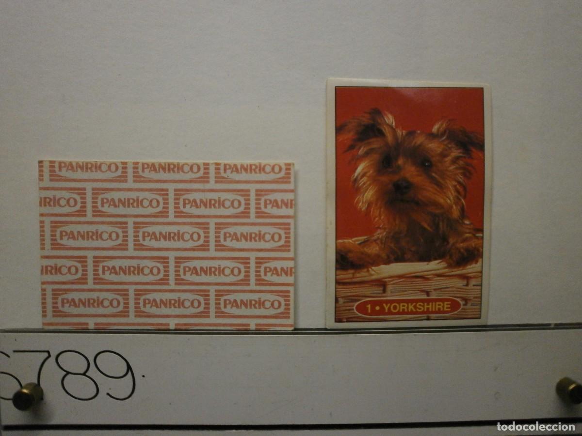 Coleccionismo cromos antiguos: cromo panrico perros cachorros