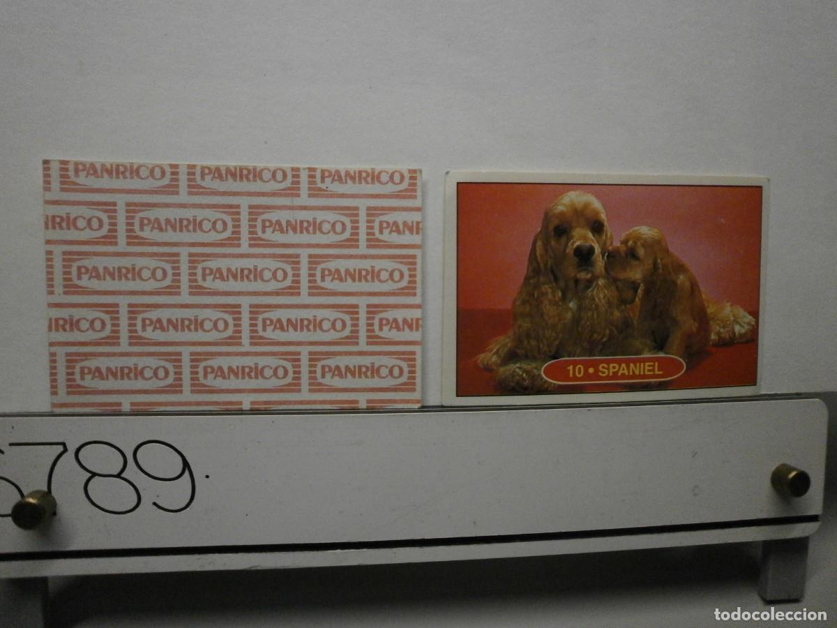 Coleccionismo cromos antiguos: cromo panrico perros cachorros