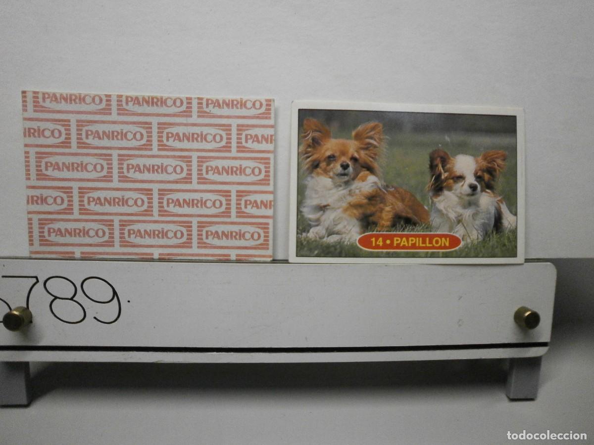 Coleccionismo cromos antiguos: cromo panrico perros cachorros