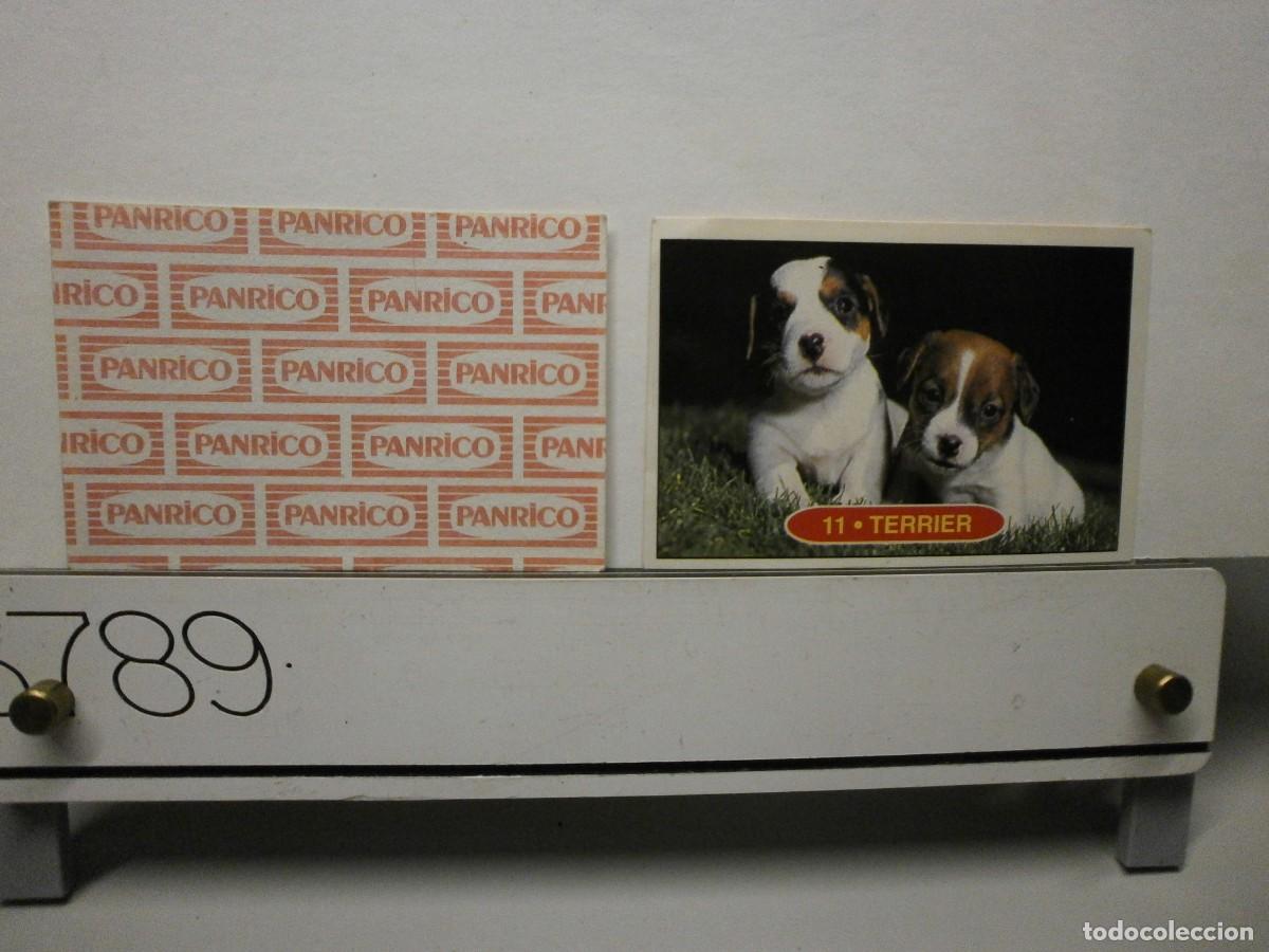 Coleccionismo cromos antiguos: cromo panrico perros cachorros