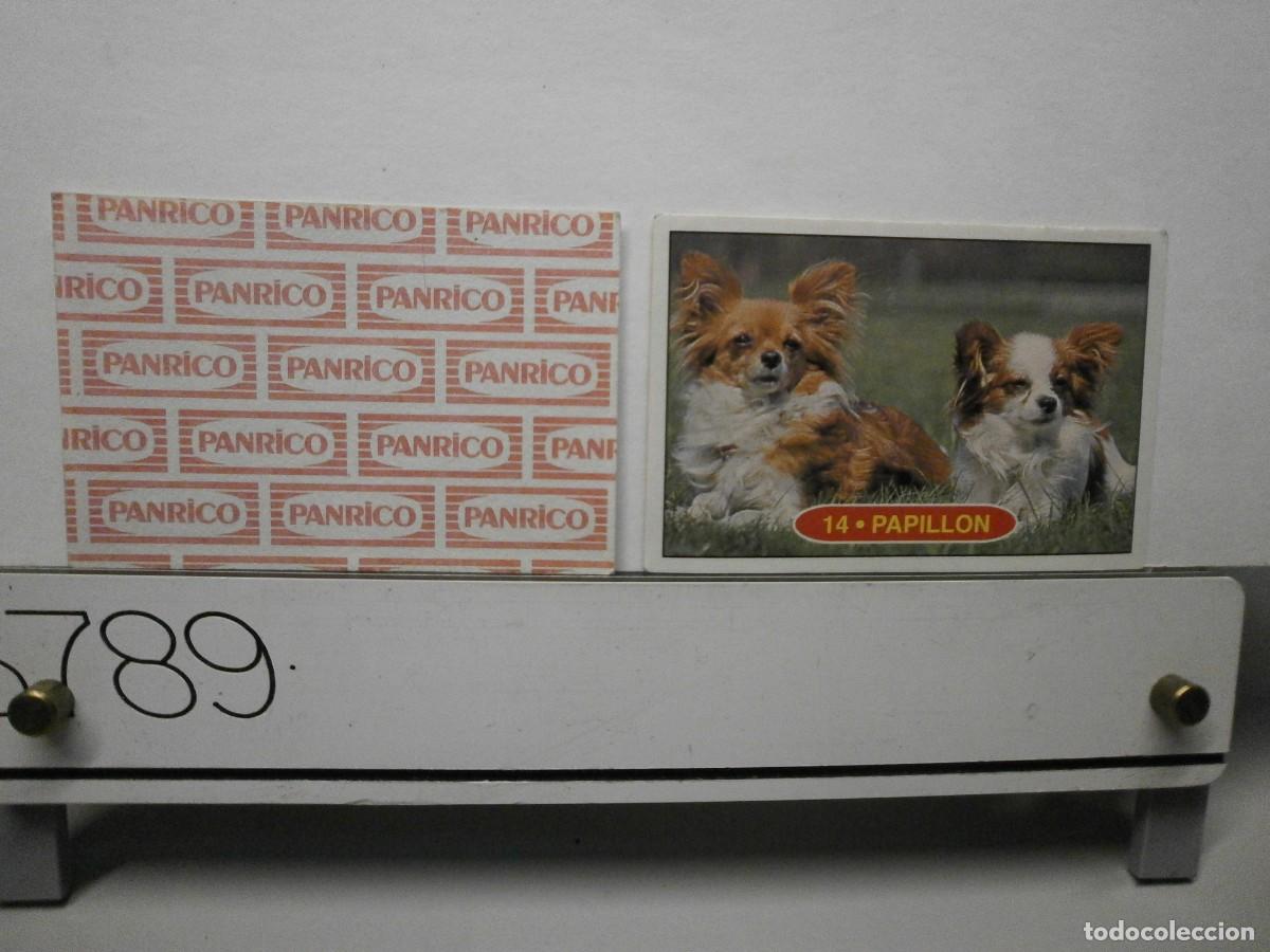 Coleccionismo cromos antiguos: cromo panrico perros cachorros