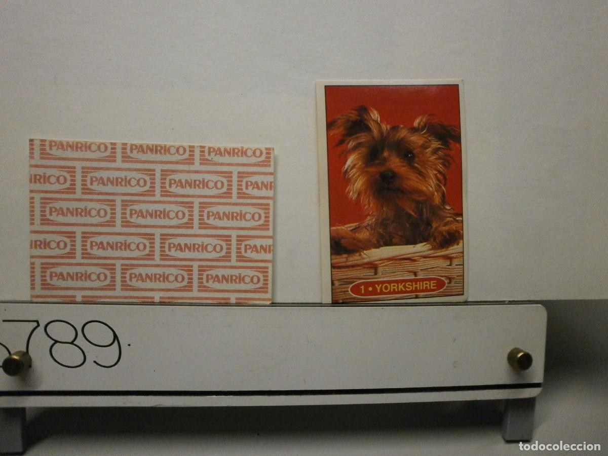Coleccionismo cromos antiguos: cromo panrico perros cachorros